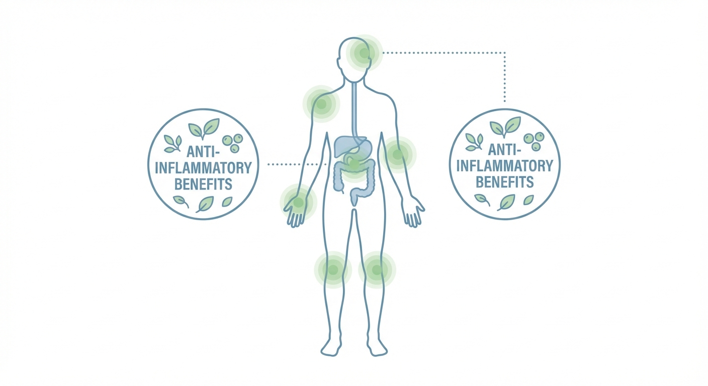 2026년 필수 슈퍼푸드, 치아씨드의 5가지 효능과 영리한 섭취법