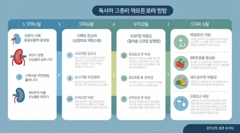 만성 신장병 초기 증상 예방을 위한 콩팥 건강 5단계 식단 관리 가이드