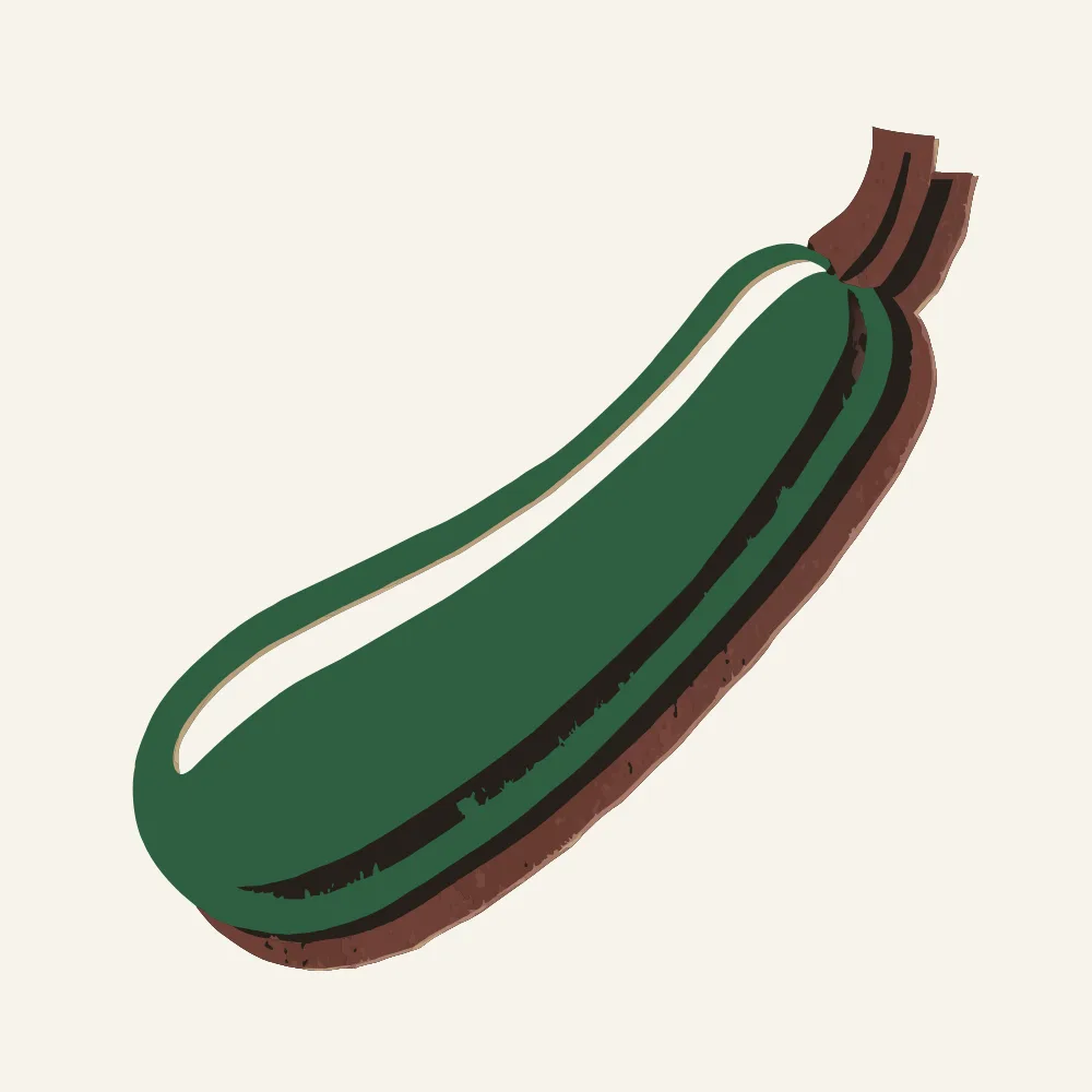 애호박 한 개를 가까이서 본 삽화.