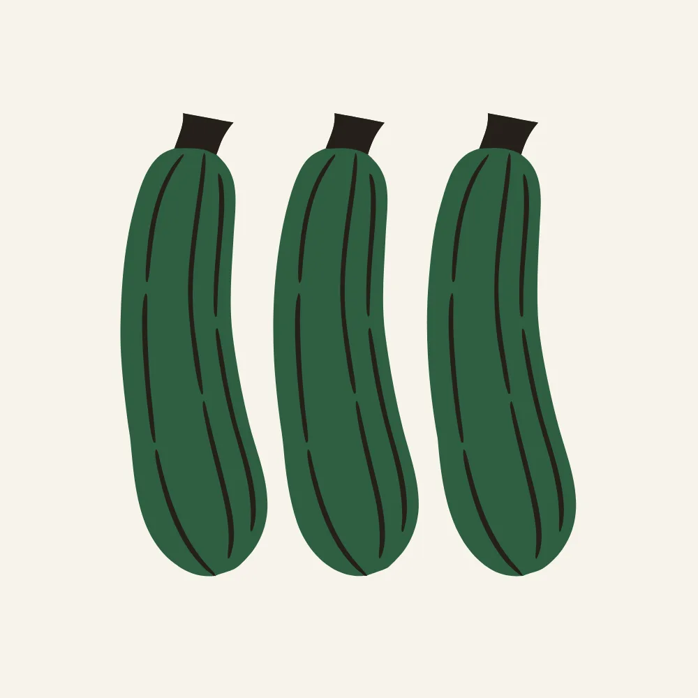 애호박 세 개를 같은 간격으로 나란히 놓고 가까이서 본 삽화예요.